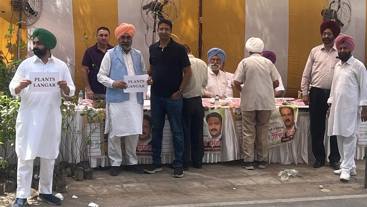 Deputy Mayor Bedi gave a shady and fruitful plant to each voter